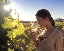 Tasting wine in Barossa Valley