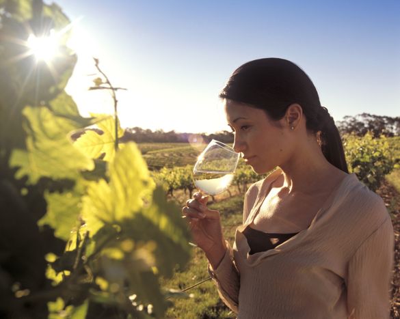 Tasting wine in Barossa Valley