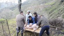 The course begins with a whole pig