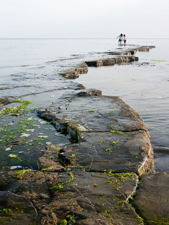 Children Playing At Kimmeridge, Dorset, By Peter Shepheard