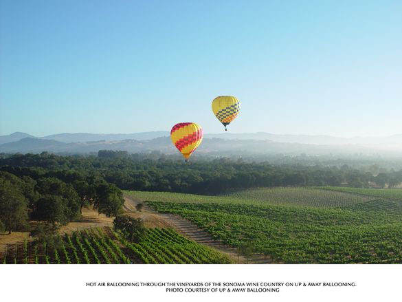 Hot Air Ballooning