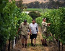 Goaty Hill Wines