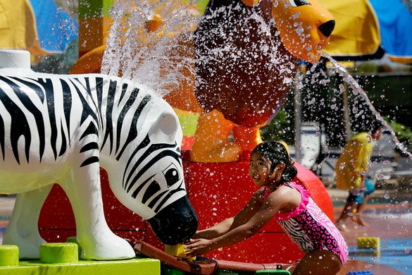 Splash Zoo