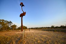 Artist John Murray with his creation, Stanley the Emu