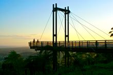 Forest Sky Pier
