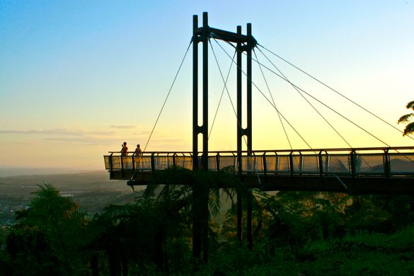 Forest Sky Pier