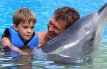 Dolphin Marine Magic