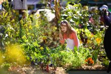 Queensland Garden Expo