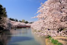 KAI Tsugaru