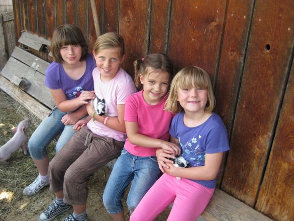 Zillertal - Club Aktion