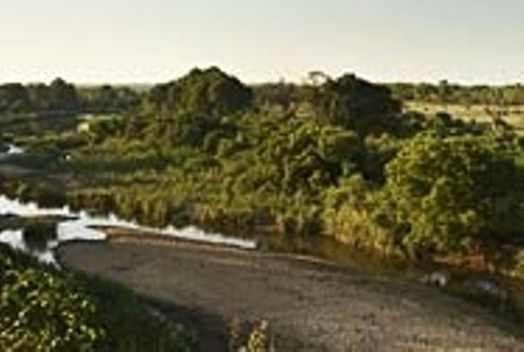 Singita - Sabi Sand