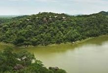 Singita - Pamushana