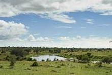 Singita - Lamai
