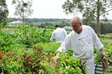 Head chef Mark Stapleton in garden