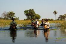 Aardvark Safaris, Riding Through The Delta