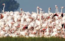 Bird Watching Extremadura