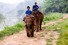 Elephant Camp at Anantara Golden Triangle 