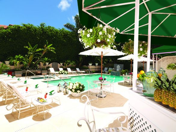The Pool at The Chesterfield Palm Beach
