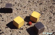 Jeu de Boules Carrees
