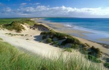 Natural Retreats 