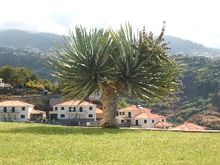 Madeira