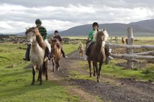 Horse Riding 
