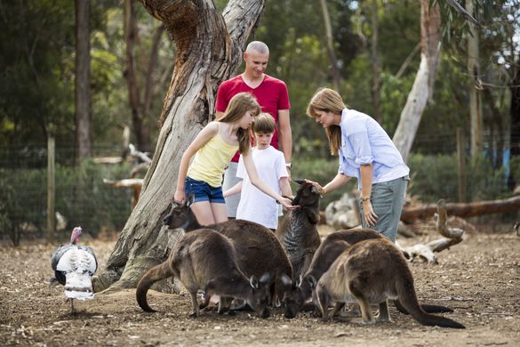 Parndana Wildlife Prk 