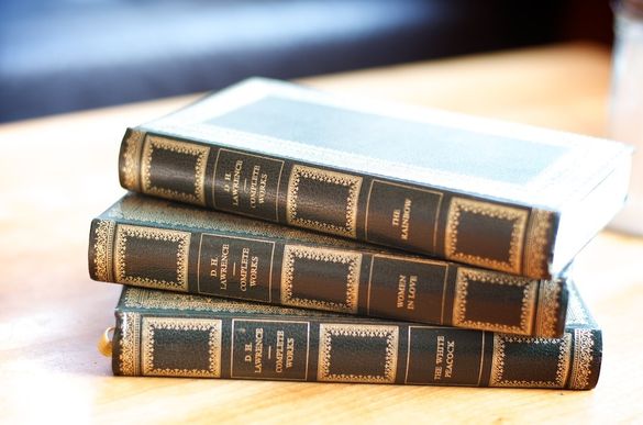 DH Lawrence Books