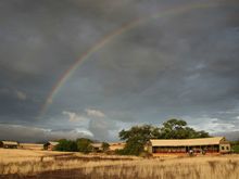 Desert Rhino Camp
