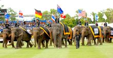 Elephant Parade 