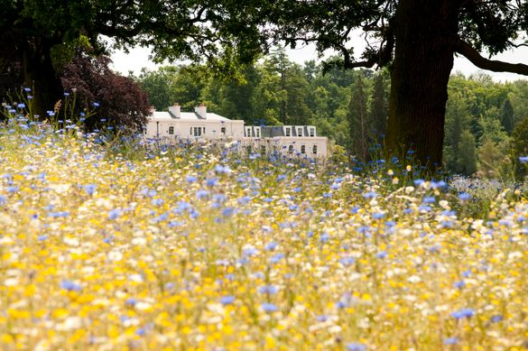Meadow & Exterior 