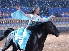 Arabian Dinner Show