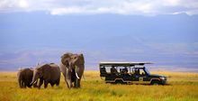 Game Drive
