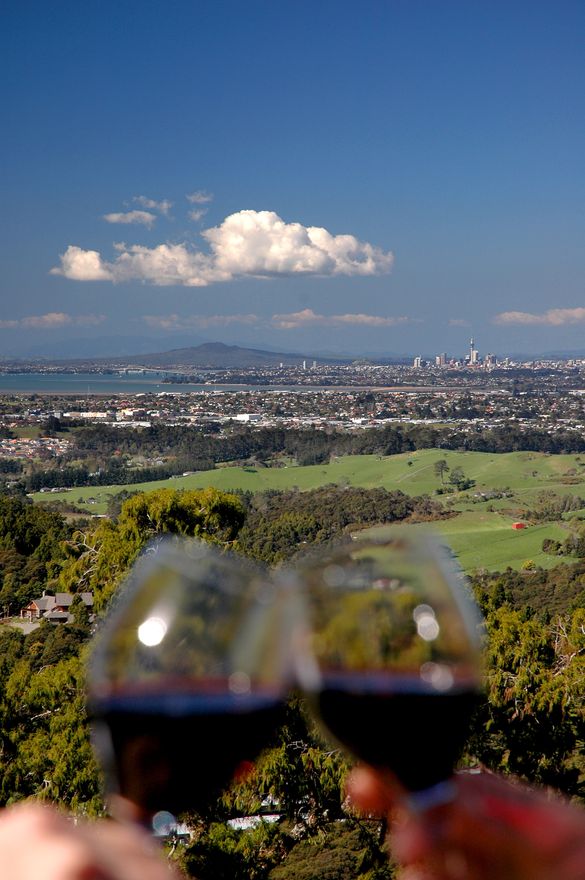 Auckland from the Waitakere Ranges
