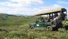 Family Game Drive At Gondwana
