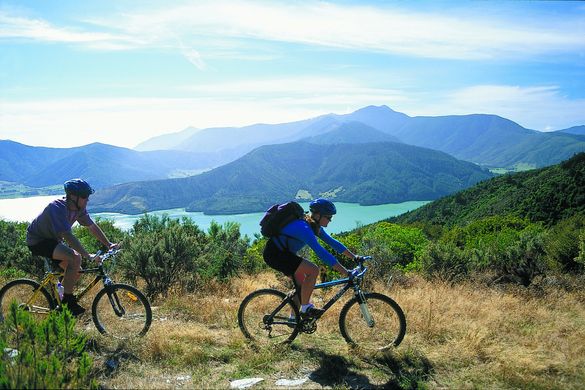 Cycling on Queen Charlotte Track