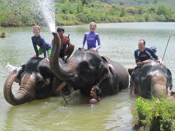 The Sarojin Elephant Bathing Family