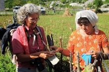 Zbulo! - Discover Albania