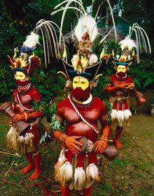 Huli Wigmen of Tari