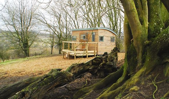 Contemporary Cool In Dorset