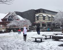 Visitors enjoying the snow downtown_