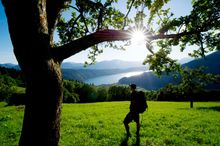 Austria In Summer