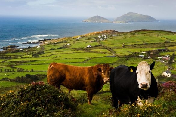 Ring of Kerry