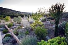 Luxury Villa Specialists Scott Williams