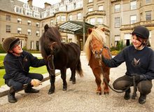 Special Ponies for Gleneagles kids