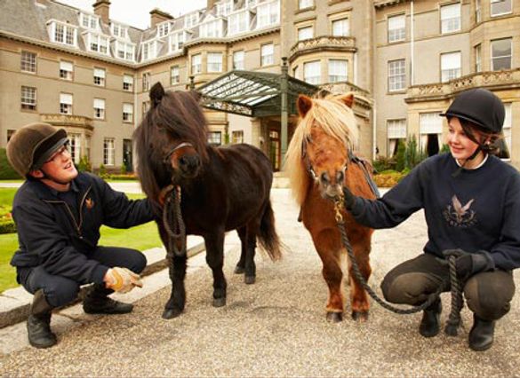 Special Ponies for Gleneagles kids