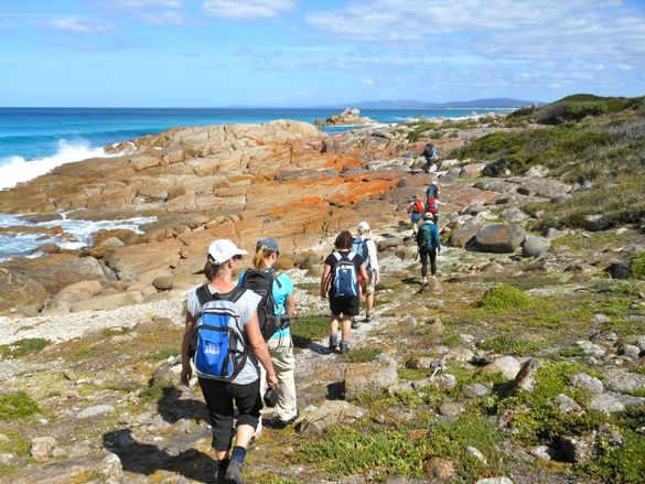 Walk Bay of Fires Tasmania