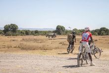 Mountain Biking