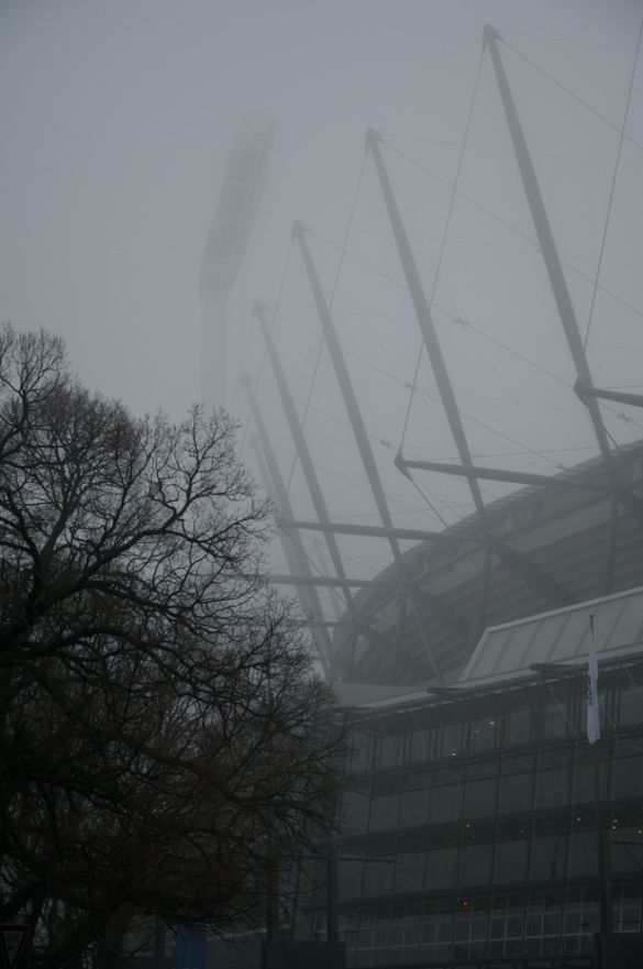 MCG