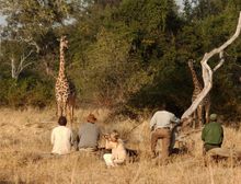 Zambia & Malawi Holidays